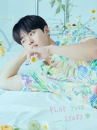 Visual Photo (5)