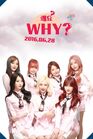 WANNA.B - Why 2