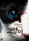 Cats Two Eyes That See Death2