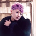 Z.tao.wd 4214