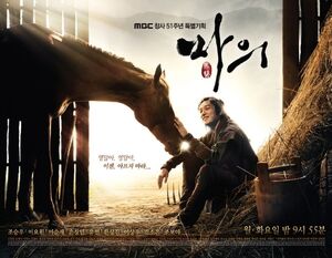 The Horse Doctor