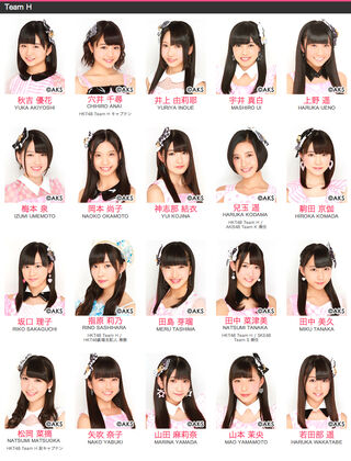 Hkt48teamh2014