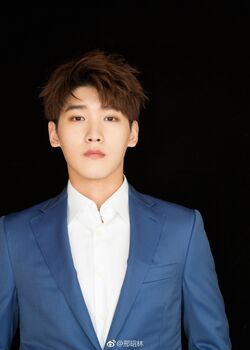 Xing Zhao Lin Wiki Drama Fandom