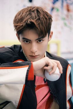 Dylan Wang, Wiki