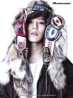 Gdragon14.jpg (257 kB)