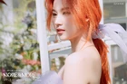 Sana25.jpg (647 kB)