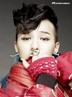Gdragon17.jpg (368 kB)