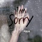 I`m Sorry - Lisa