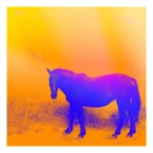 ALEPH - 워커홀릭