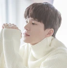 80077229.jpg (359 kB)