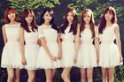 Apink 28