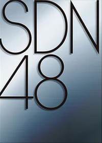 SDNLogo