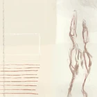 20543424