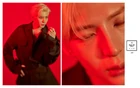 Leo19.jpg (287 kB)