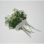 Aimyon - Ikite itanda yo na