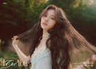 Sana43.jpg (3,31 MB)