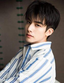 Song Weilong (actor) - Wikipedia