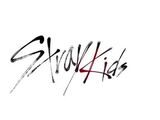 Stray Kids (TV)