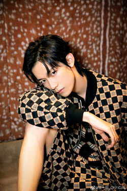 Wang Yi Jun3
