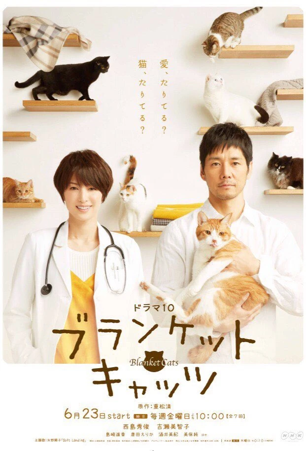 Blanket Cats Wiki Drama Fandom