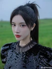 Dai Yan Ni22.jpg (281 kB)
