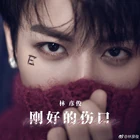 Evan Lin - Imperfect love-CD