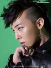 Gdragon18.jpg (170 kB)