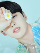 Visual Photo (7)