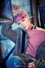 Zelo23