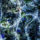 Aimer - ninelie