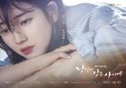 While You Were Sleeping-SBS-2017-2