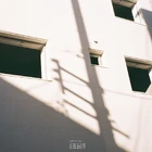 20333295