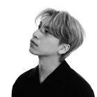 Austn04.jpg (238 kB)