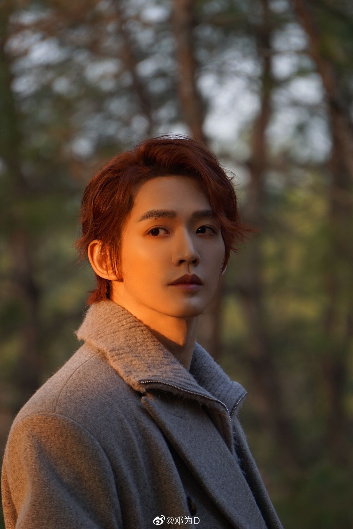 Deng Wei | Wiki Drama | Fandom