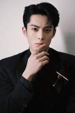 Dylan Wang, Wiki