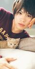 Yusuke-cat-yusuke-yamamoto-23806894-190-370