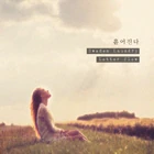 Sweden Laundry & Letter Flow - The Scattered