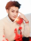 Z.Tao 09.jpg (248 kB)