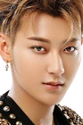 Z.Tao.jpg (501 kB)