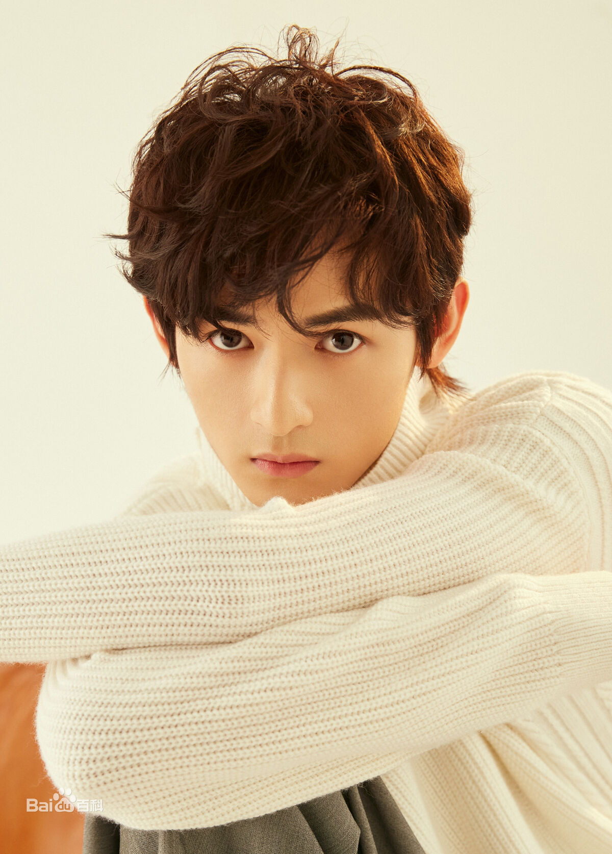 Zhou Li Jie Wiki Drama Fandom