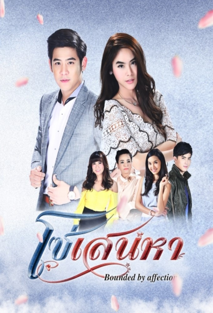 So Sanaeha 2017 Drama Wiki Fandom