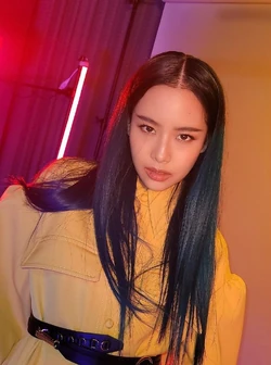 Chayanit Chansangavej