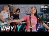 Why Y (Feat. Tiger JK)