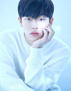Choi Hyun Wook