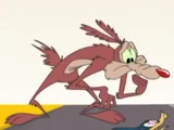 Wile E. Coyote