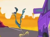 Road Runner