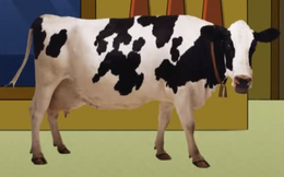 Live Action Cow