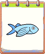 A player's Flying Fish design.