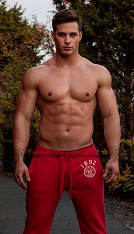 Nick sandell model