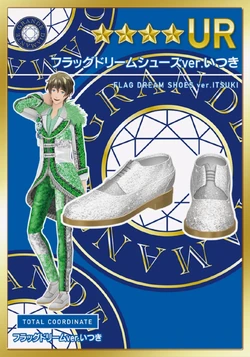 Flag Dream Coord | Dream Festival Wikia | Fandom